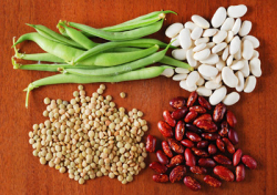 Фитоэстрогены для увеличения груди