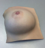 Слепок 3D-модели груди