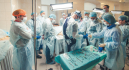 Пятый Санкт-Петербургский Live Surgery & Injections курс