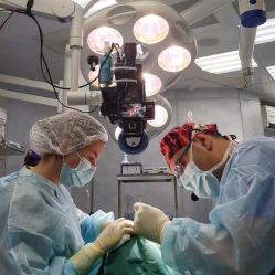 Пластический хирург Давид Гришкян оперирует